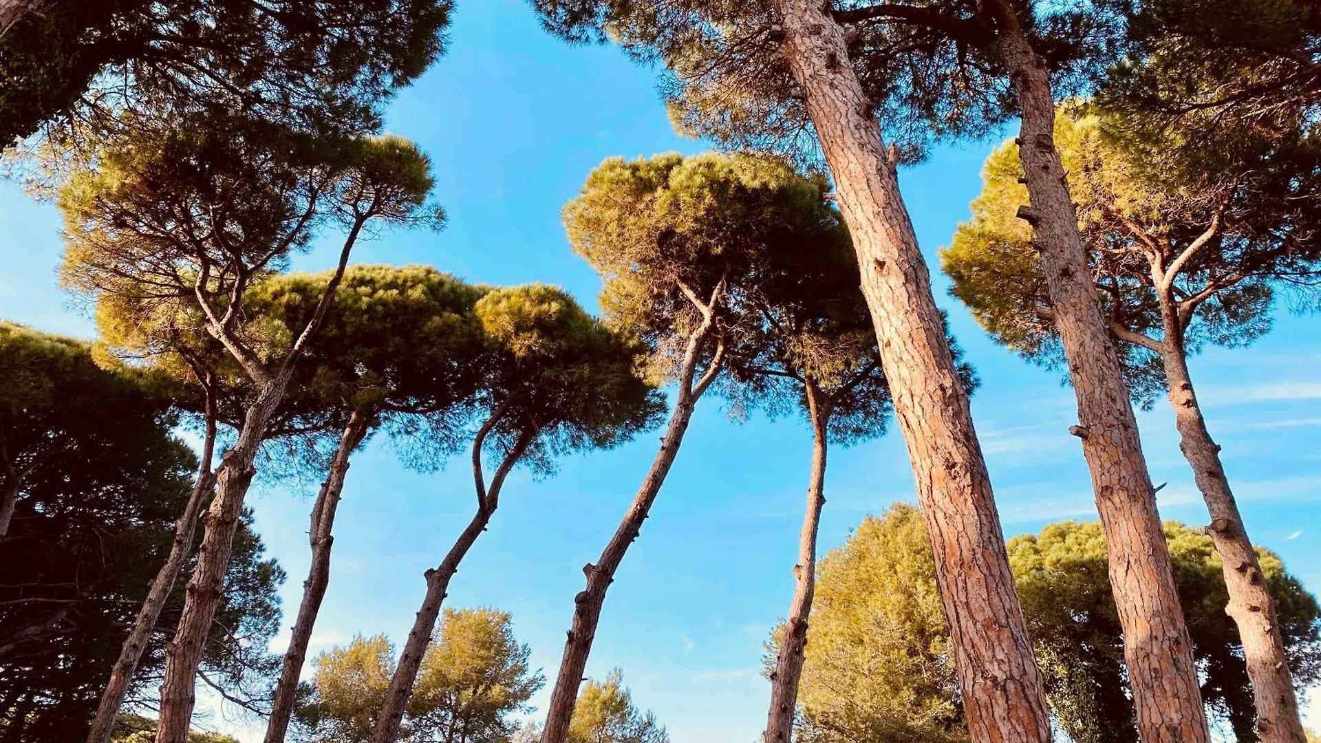 Pineda 38 Villa Gavà
