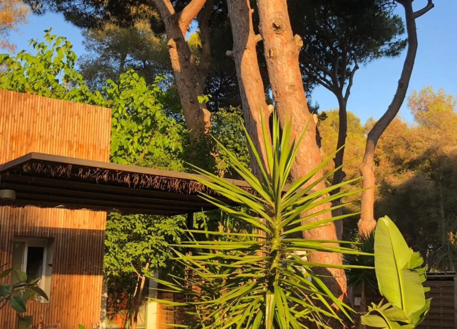 Pineda 38 Villa Gavà