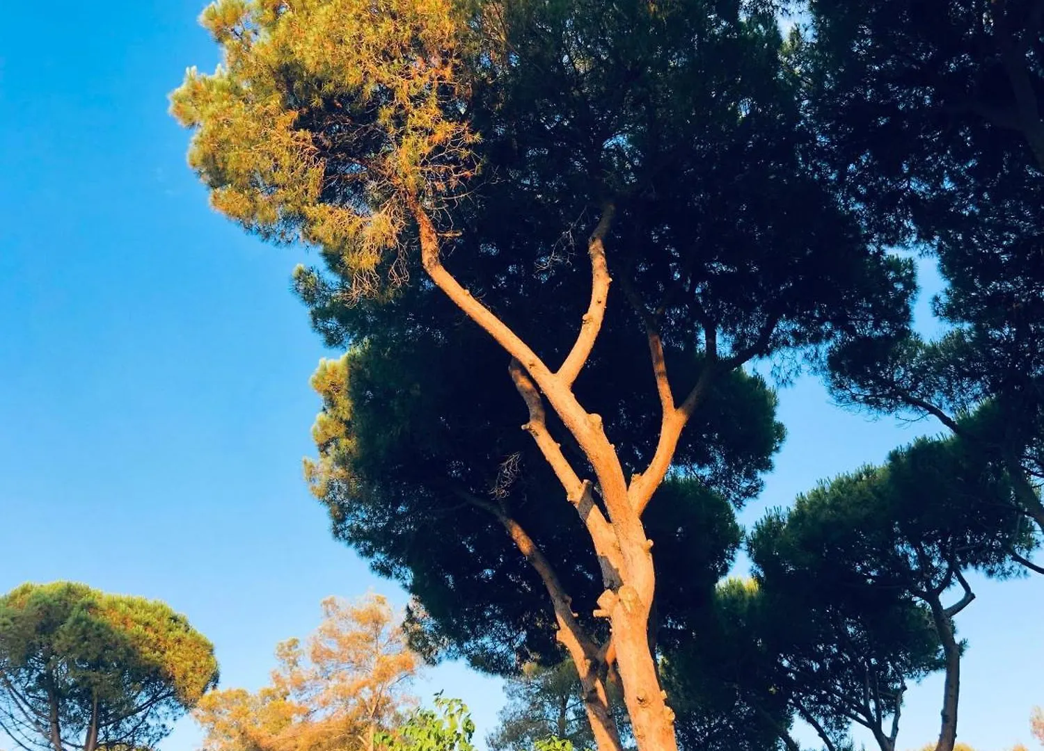Villa Pineda 38 Gavà Spanien